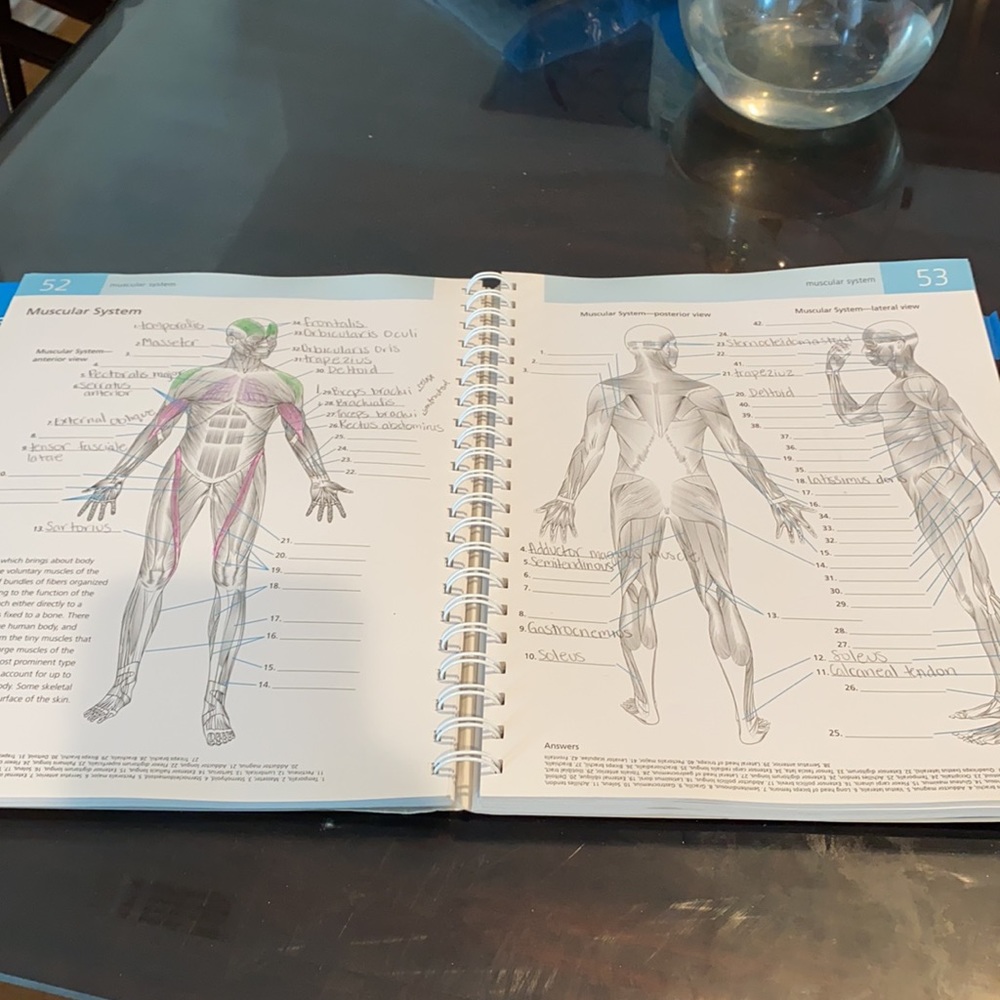 Anatomy practice book - Picture 10 of 13